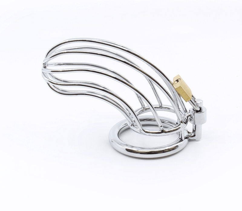 8124 - The Bird Cage Chastity Device Large - Just for you desires