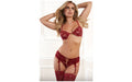 3 Pc Strappy HipHugger Garter Panty, Wired Bra & Stocking - Just for you desires