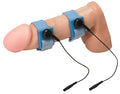 Zeus Electrosex Penis Bands Kit - Just for you desires