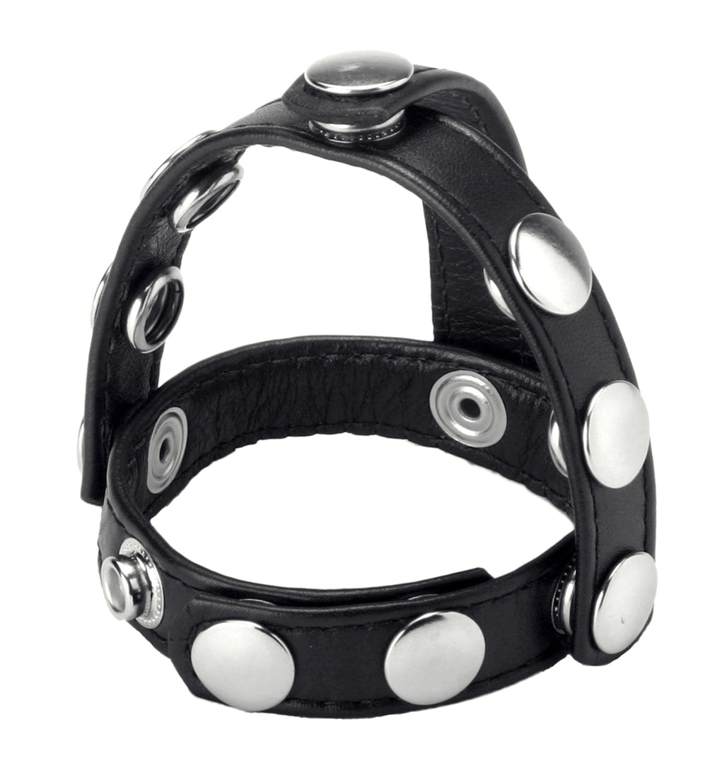 Snap-On Cock And Ball Harness - Just for you desires