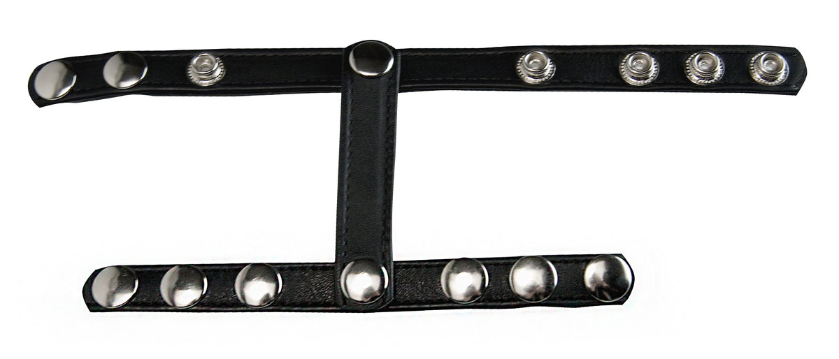 Snap-On Cock And Ball Harness - Just for you desires