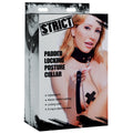 Padded Locking Posture Collar - Just for you desires