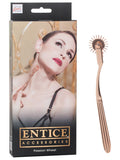140226 - Entice Passion Wheel - Just for you desires