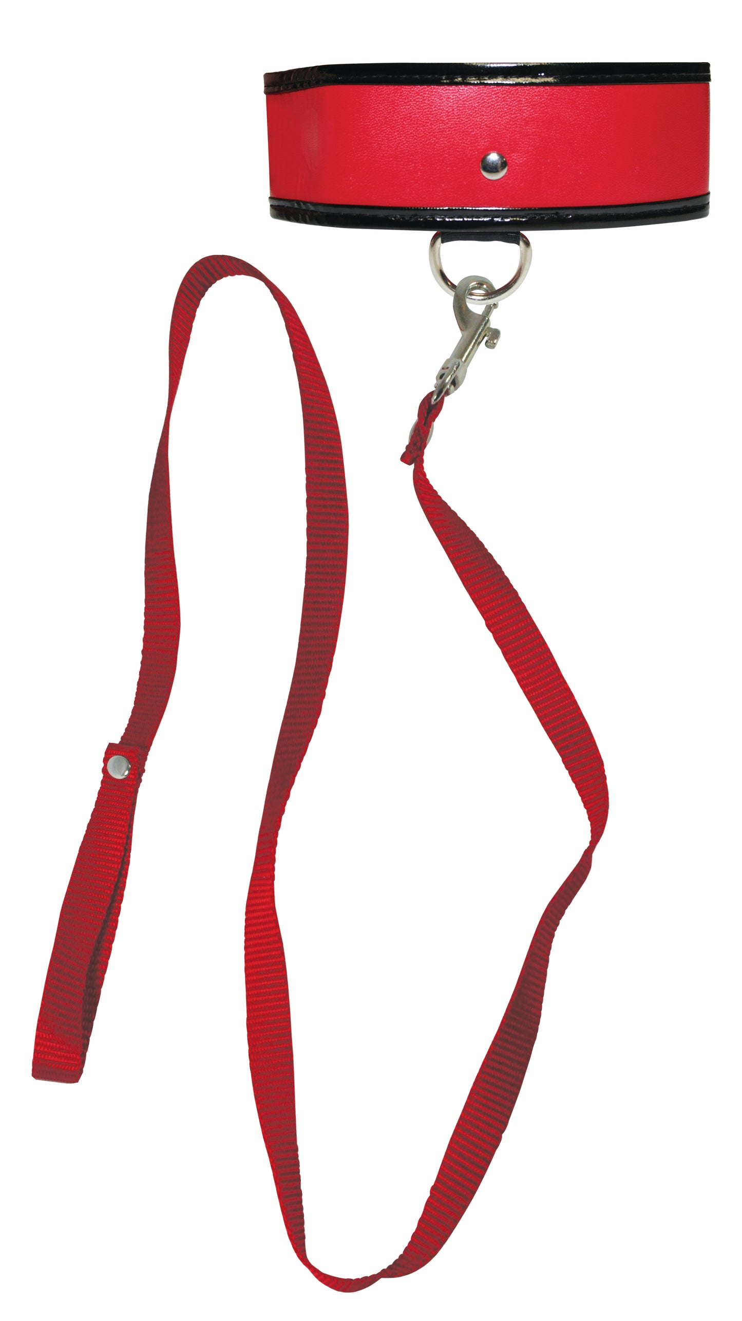 Red Leash and Collar