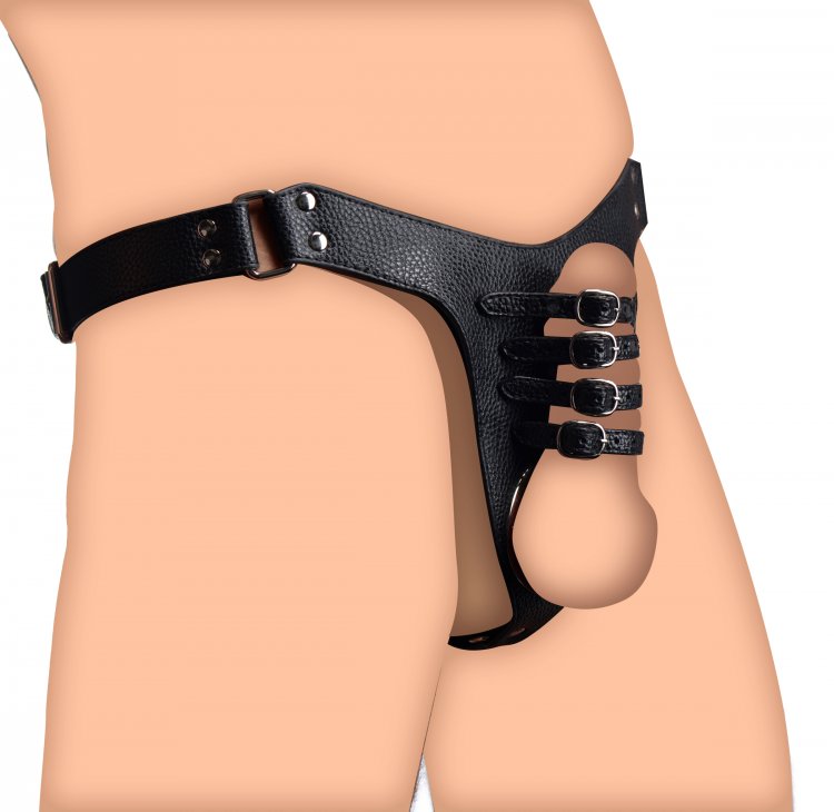 Male Chastity Harness - Just for you desires