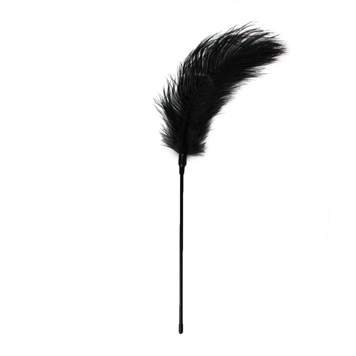 Feather Tickler Black - Just for you desires