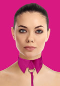165495 - Classic Collar With Leash - Just for you desires