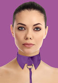 Classic Collar with Leash - Black - Just for you desires