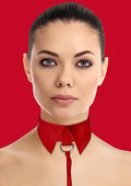 Classic Collar with Leash - Black - Just for you desires