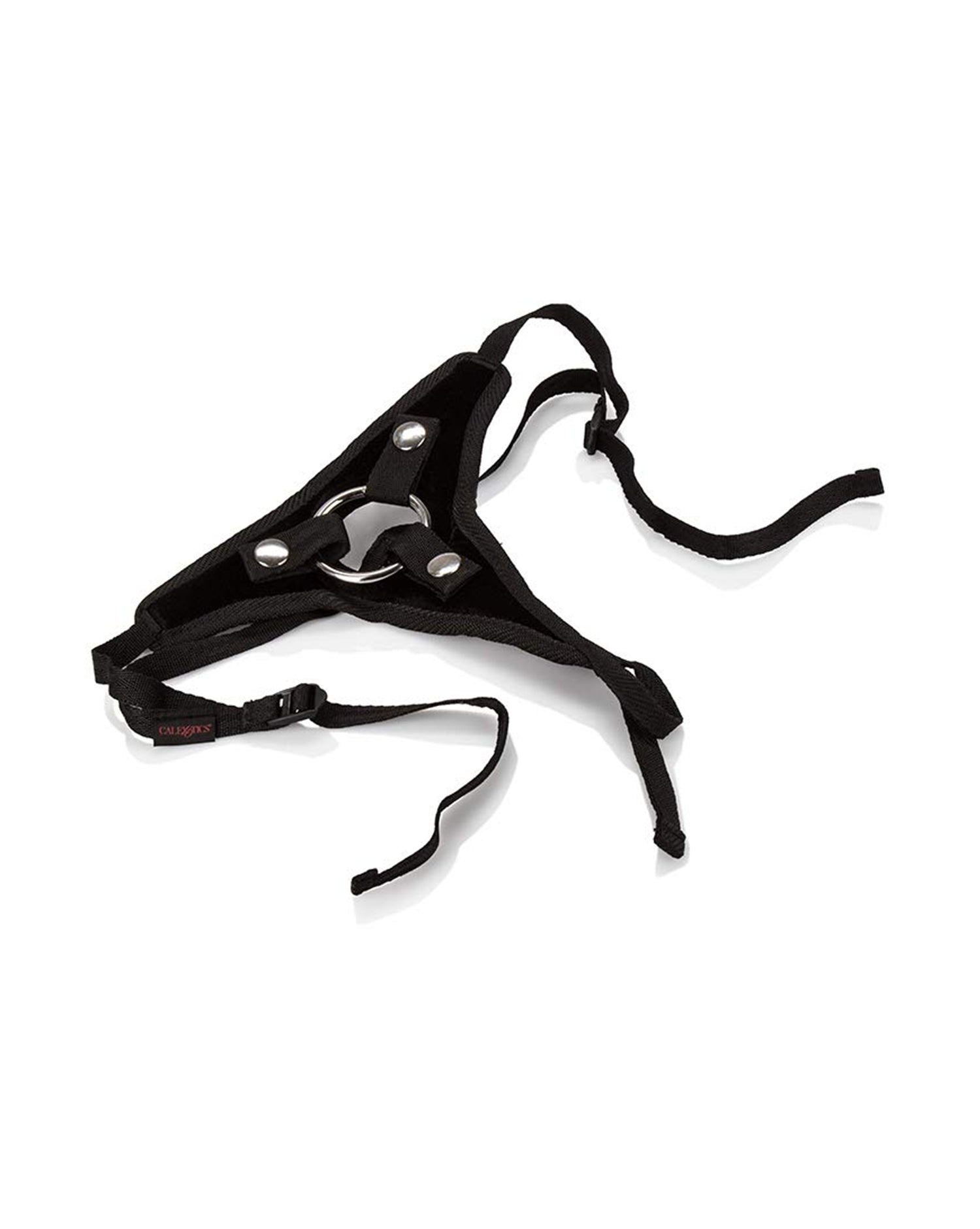 214579 - Her Royal Harness -The Princess - Just for you desires