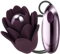 226623 - Zinnia - Just for you desires