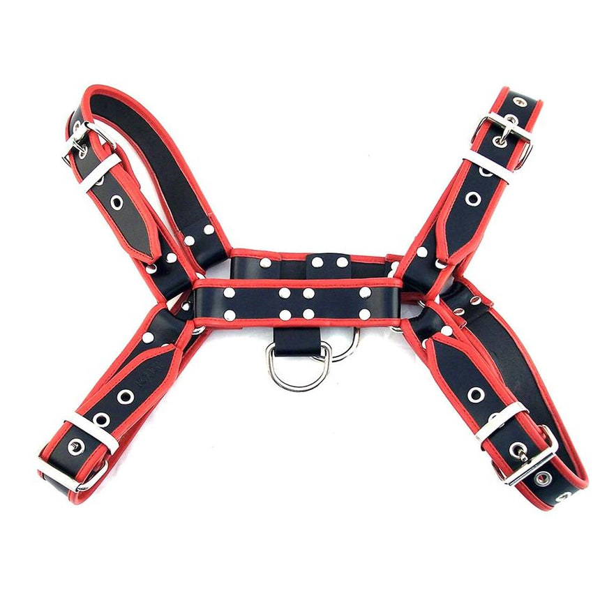 Leather O.T.H Harness with Red Piping & Silver Accessories