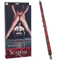 Scandal Spreader Bar - Just for you desires