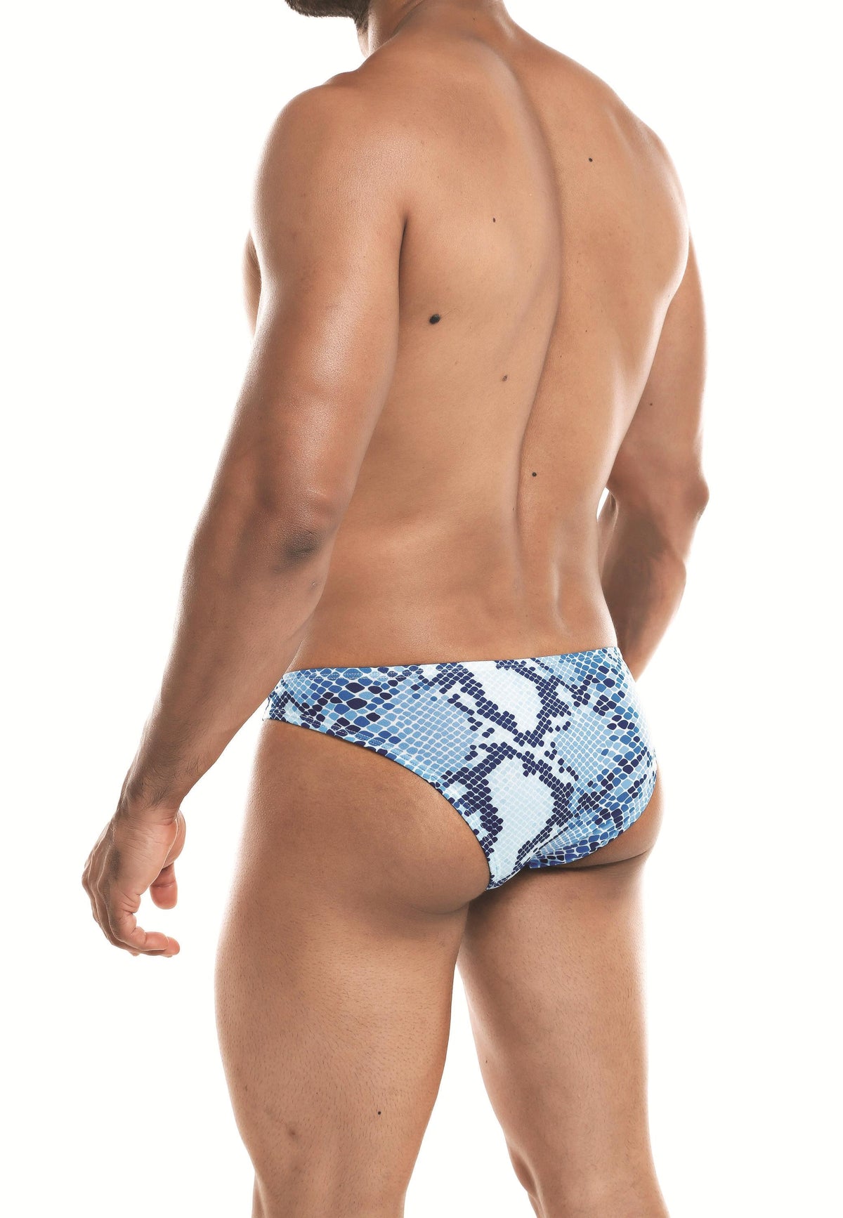 Cut For Men Low Rise Bikini Snake X Large - Just for you desires